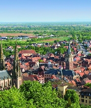 從斯特拉斯堡出發的阿爾薩斯葡萄園之旅