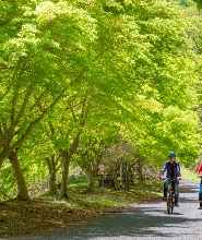 日本奧多摩半日單車之旅
