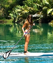 薄荷島羅伯克河 SUP 立槳體驗／賞螢火蟲之旅