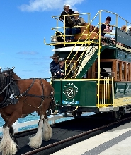 維克多港海岸一日遊