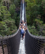 荷巴特：塔胡恩空中步道、黑斯廷斯洞穴與溫泉池