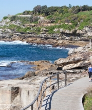 雪梨私人觀光之旅