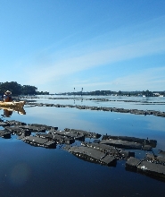 巴特曼斯貝吃生蠔＆獨木舟之旅