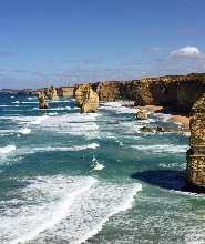 大洋路無尾熊觀賞反向之旅
