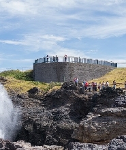 雪梨皇家國家公園全日導覽