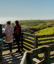 菲利普島 & 布萊頓海灘私人之旅（墨爾本出發）