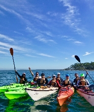 傑維斯灣半日海上獨木舟之旅