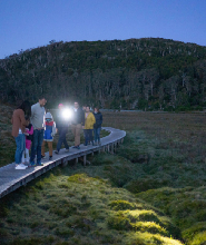 搖籃山夜間觀星之旅