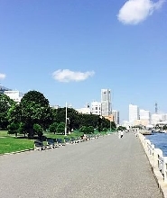 橫濱 / 鎌倉6小時私人遊（含政府認證導遊）