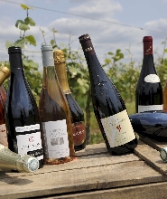 瓦爾河谷葡萄酒莊一日遊（圖爾出發）