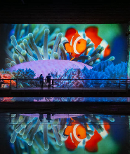 波爾多萊斯-盧米埃斯灣（Les Bassins des Lumieres）快速通道門票