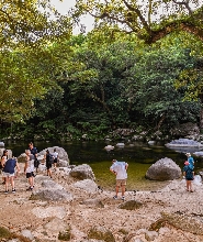 丹翠雨林一日遊（道格拉斯港出發）