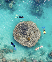 搭乘觀光飛機與海洋漂流，體驗飛筏之旅