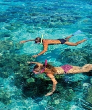 渡輪船票：凱恩斯 - 綠島