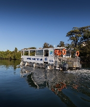 抓螃蟹冒險遊船（堤維德岬出發）