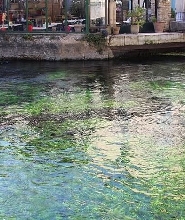 呂貝隆村莊探索之旅（阿維尼翁出發）