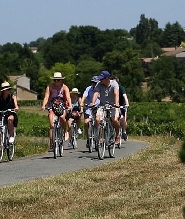 聖埃美隆電動自行車之旅 - 含午餐（波爾多出發）