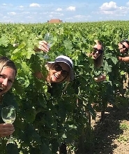 梅多克下午葡萄酒之旅  - 含開胃菜（波爾多出發）