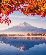 【東京出發】富士山包車遊覽一日遊