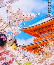 【大阪/京都出發】金閣寺＆清水寺＆伏見稻荷大社一日遊