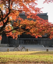 京都御所＆二條城小團步行導覽之旅
