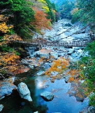 【德島出發】大塚國際美術館/鳴門漩渦/祖谷葛藤橋包車一日遊
