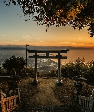 【高松出發】金比羅宮/高屋神社/鳴門漩渦/四國水族館包車一日遊