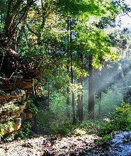 鎌倉6小時私人遊（含政府認證導遊）