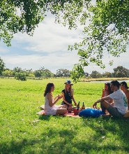 莫寧頓半島肖勒姆路半日遊