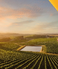 維多利亞州熱氣球體驗