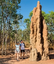 李治菲特國家公園遊覽之旅