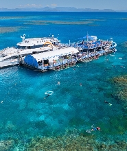 摩爾礁 & 菲茨羅伊島一日遊