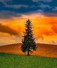 登別・洞爺湖・旭川私人包車一日遊