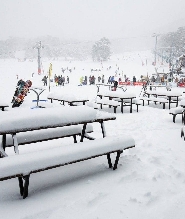 塞雪或佩裏舍一日遊