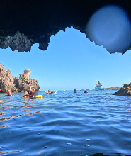 三島淺水灣海洋野生動物浮潛體驗