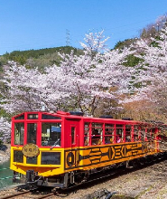 京都嵐山嵯峨野遊覽小火車巴士之旅