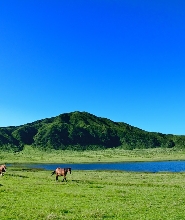 熊本阿蘇中嶽火山口 + 草千裏一日私人旅遊團