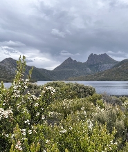 搖籃山導覽一日遊（朗塞斯頓出發）