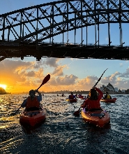 雪梨港日出獨木舟體驗（含早餐）
