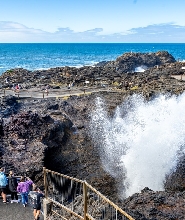 基亞馬噴水洞、海上懸崖橋、海灘、野生動物與農場之旅