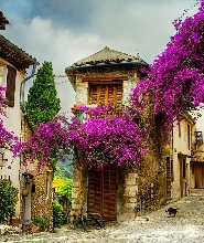 普羅旺斯 & 中世紀村莊一日遊（尼斯出發）