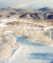 札幌國際滑雪場定山溪接駁巴士