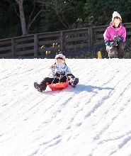 六甲山雪上樂園 & 草莓採摘巴士之旅（含螃蟹自助午餐）