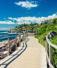 邦迪至庫吉海灘沿海徒步之旅 & 庫吉灣飯店單點午餐