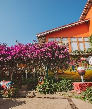 大叻童話樂園＆Vinh Tien酒廠門票