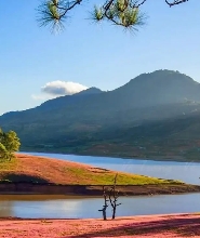 大叻黃金谷門票（Golden Valley）