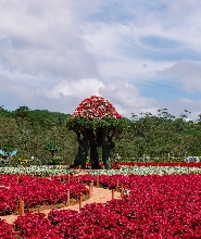 大叻Fresh Garden門票