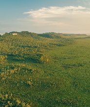 努沙大沼澤區半日寧靜遊船之旅
