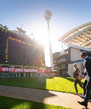 阿得雷德橢圓形球場導覽