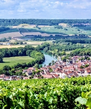 香檳品鑑與美食午餐一日遊